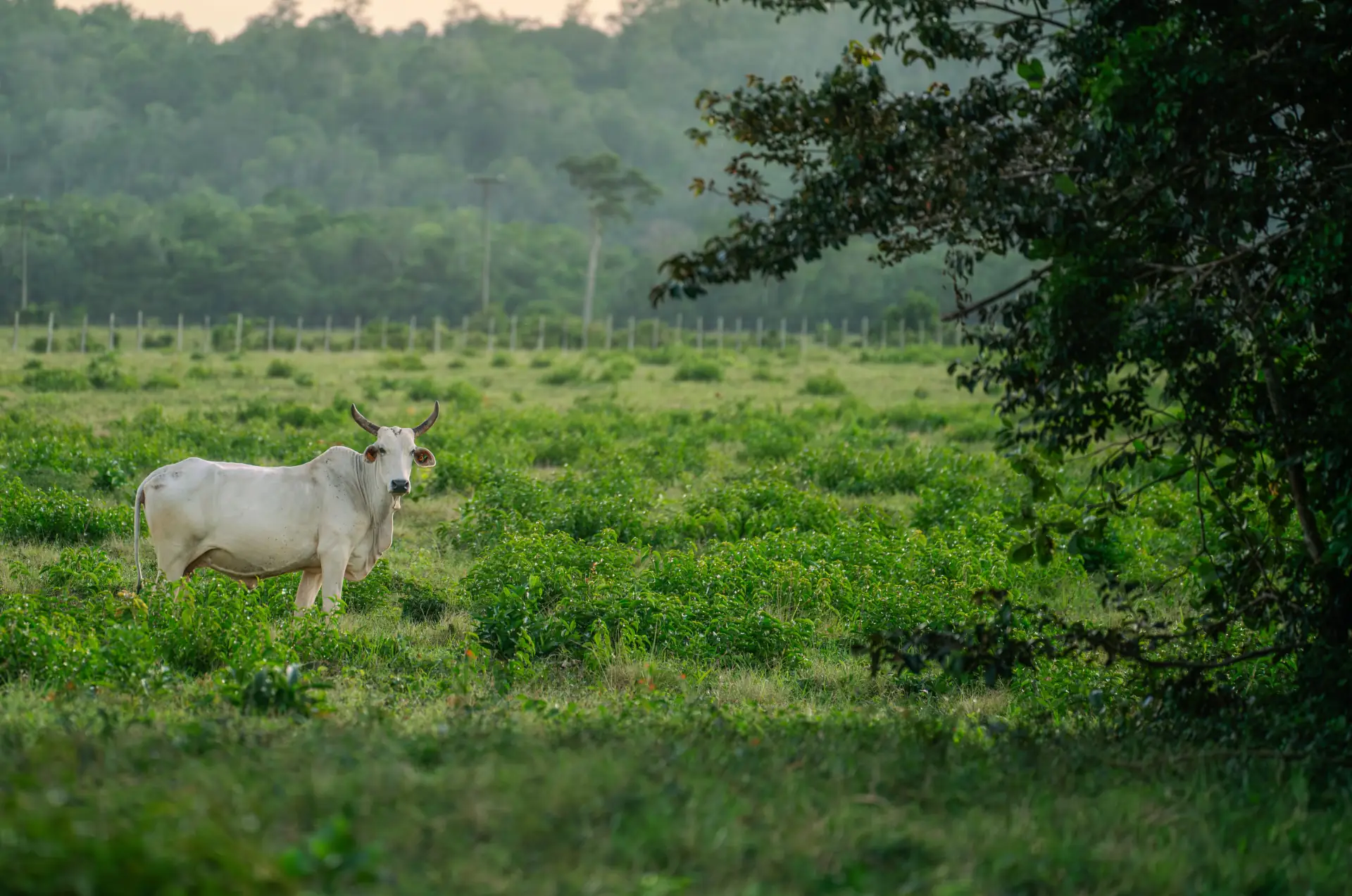 Quality control laboratory